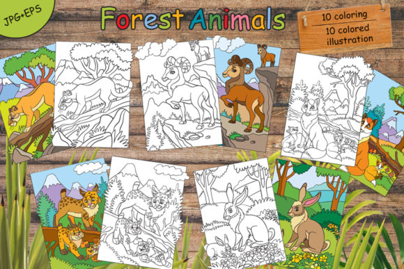 Download Coloring for Children Forest Animals - Children Collection